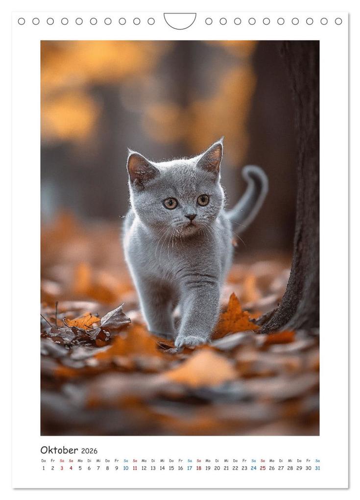 Weitere Ansicht: Treue Wegbegleiter (Wandkalender 2026 DIN A4 hoch), CALVENDO Monatskalender | Steffen Gierok-Latniak, Calvendo