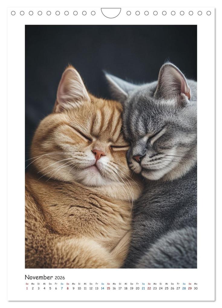 Weitere Ansicht: Treue Wegbegleiter (Wandkalender 2026 DIN A4 hoch), CALVENDO Monatskalender | Steffen Gierok-Latniak, Calvendo