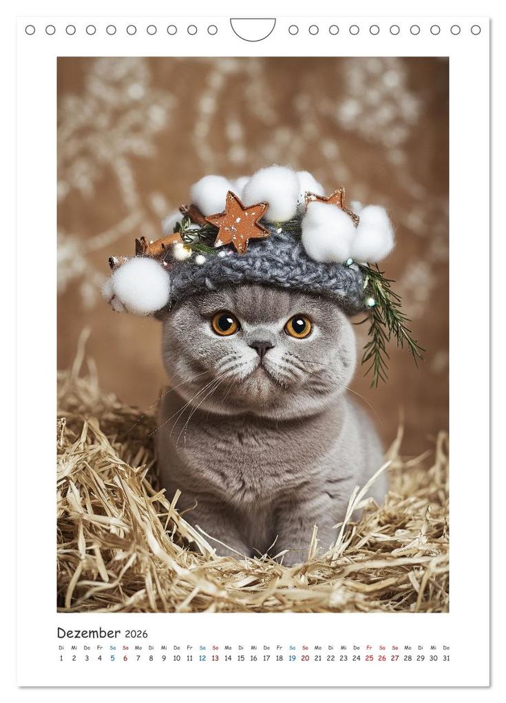 Weitere Ansicht: Treue Wegbegleiter (Wandkalender 2026 DIN A4 hoch), CALVENDO Monatskalender | Steffen Gierok-Latniak, Calvendo