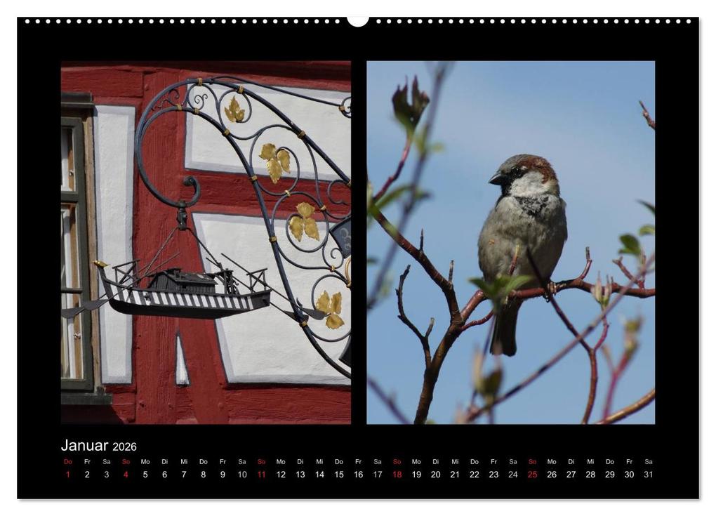 Weitere Ansicht: Ulmer Spatzen (Wandkalender 2026 DIN A2 quer), CALVENDO Monatskalender | Kattobello Kattobello, Calvendo, Kattobello