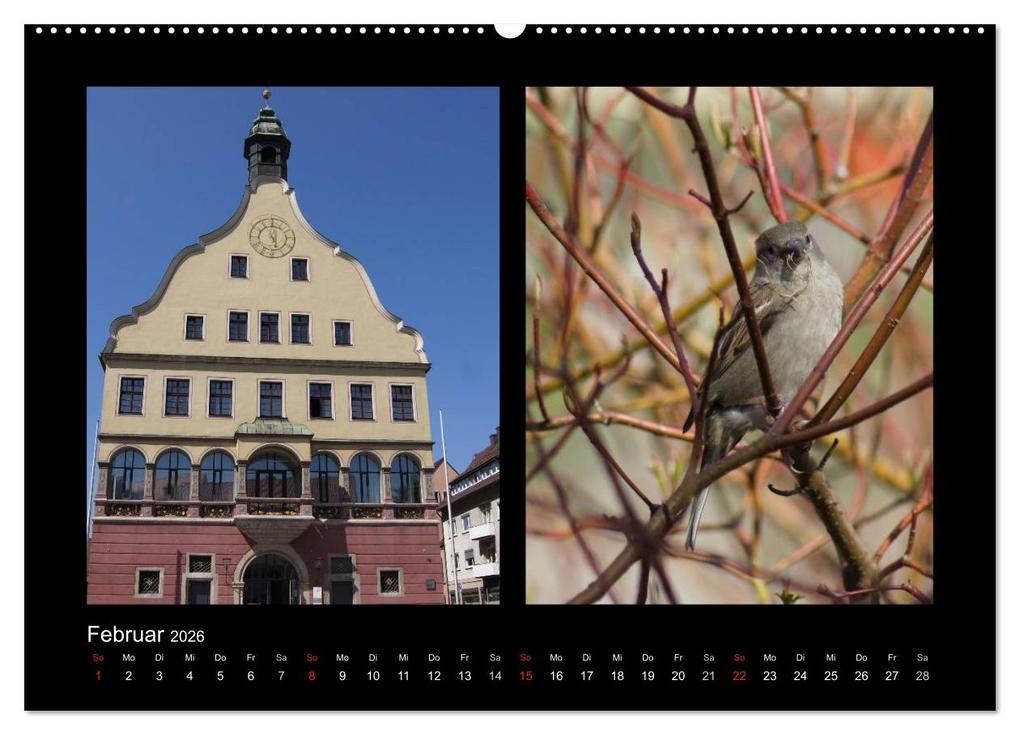 Weitere Ansicht: Ulmer Spatzen (Wandkalender 2026 DIN A2 quer), CALVENDO Monatskalender | Kattobello Kattobello, Calvendo, Kattobello