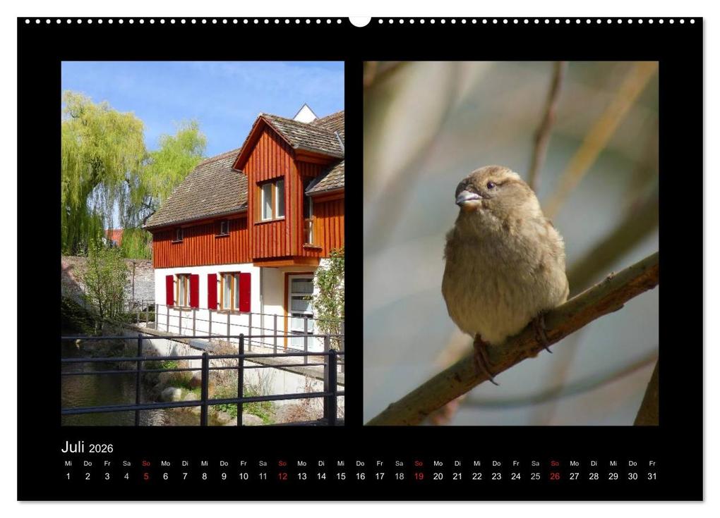 Weitere Ansicht: Ulmer Spatzen (Wandkalender 2026 DIN A2 quer), CALVENDO Monatskalender | Kattobello Kattobello, Calvendo, Kattobello