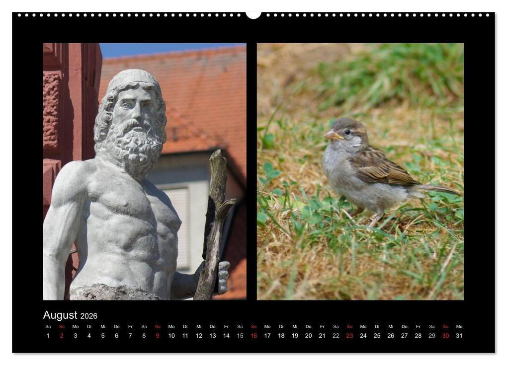 Weitere Ansicht: Ulmer Spatzen (Wandkalender 2026 DIN A2 quer), CALVENDO Monatskalender | Kattobello Kattobello, Calvendo, Kattobello
