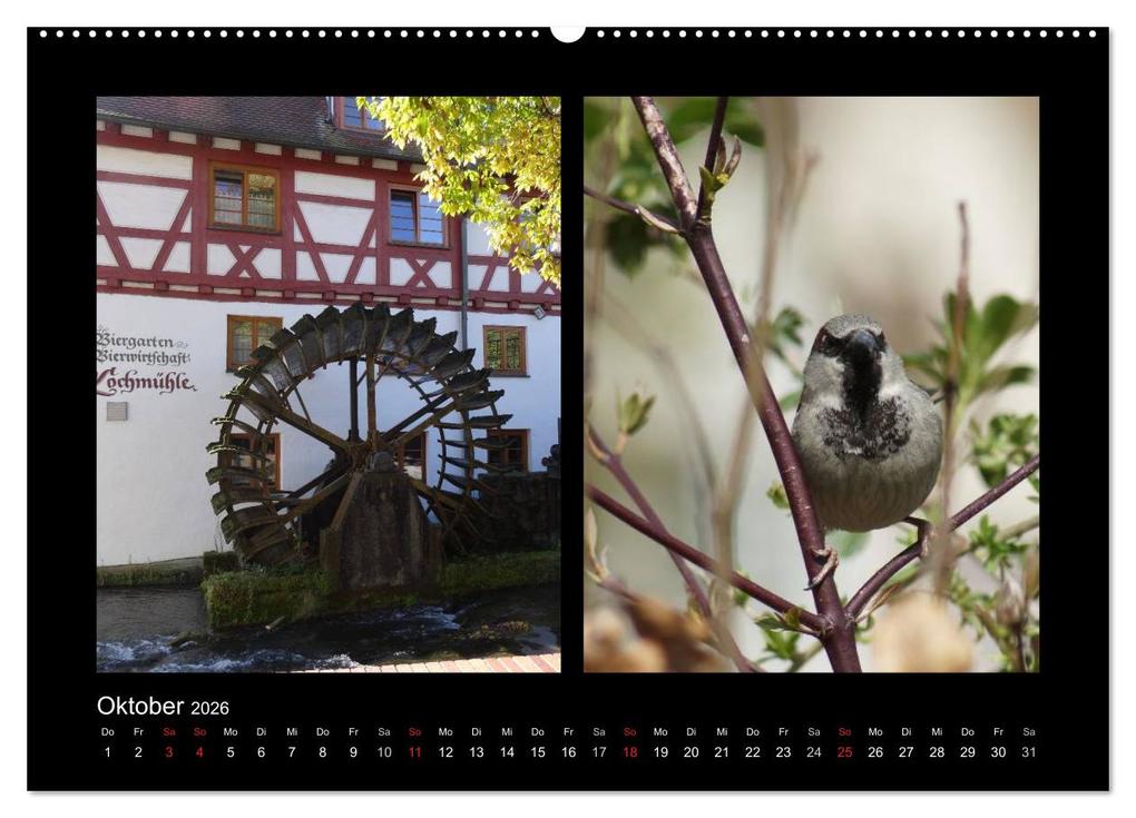 Weitere Ansicht: Ulmer Spatzen (Wandkalender 2026 DIN A2 quer), CALVENDO Monatskalender | Kattobello Kattobello, Calvendo, Kattobello