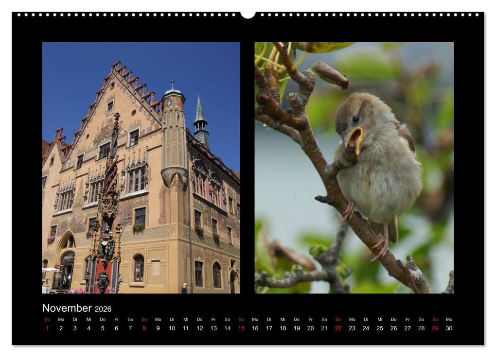 Weitere Ansicht: Ulmer Spatzen (Wandkalender 2026 DIN A2 quer), CALVENDO Monatskalender | Kattobello Kattobello, Calvendo, Kattobello