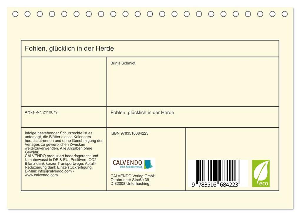 Weitere Ansicht: Fohlen, glücklich in der Herde (Tischkalender 2026 DIN A5 quer), CALVENDO Monatskalender | Brinja Schmidt, Calvendo