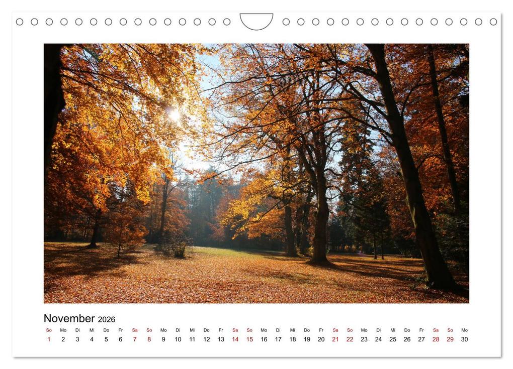 Weitere Ansicht: Zauberhafte Landschaften im Odenwald (Wandkalender 2026 DIN A4 quer), CALVENDO Monatskalender | Eileen Kumpf, Calvendo