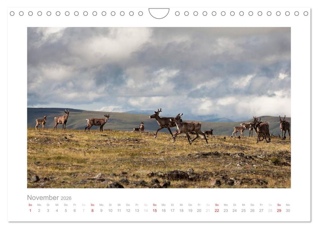 Weitere Ansicht: Alaska 2026 (Wandkalender 2026 DIN A4 quer), CALVENDO Monatskalender | kalender365.com kalender365.com, Calvendo, Kalender365.com