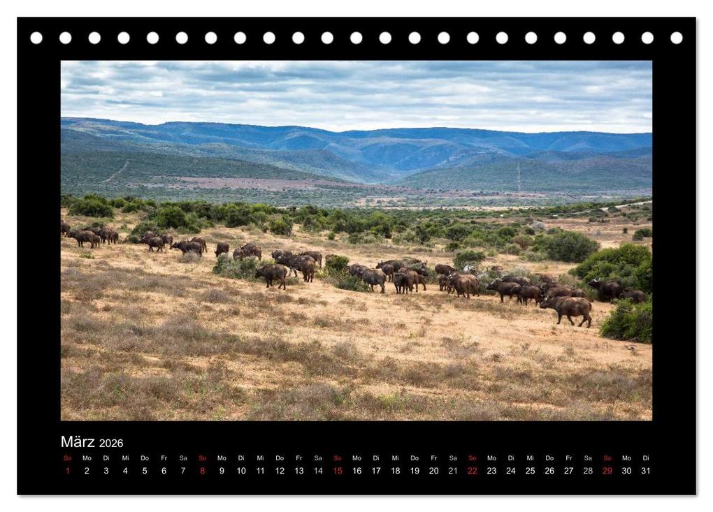 Weitere Ansicht: Südafrika - Garden Route (Tischkalender 2026 DIN A5 quer), CALVENDO Monatskalender | Frank Budenz, Calvendo