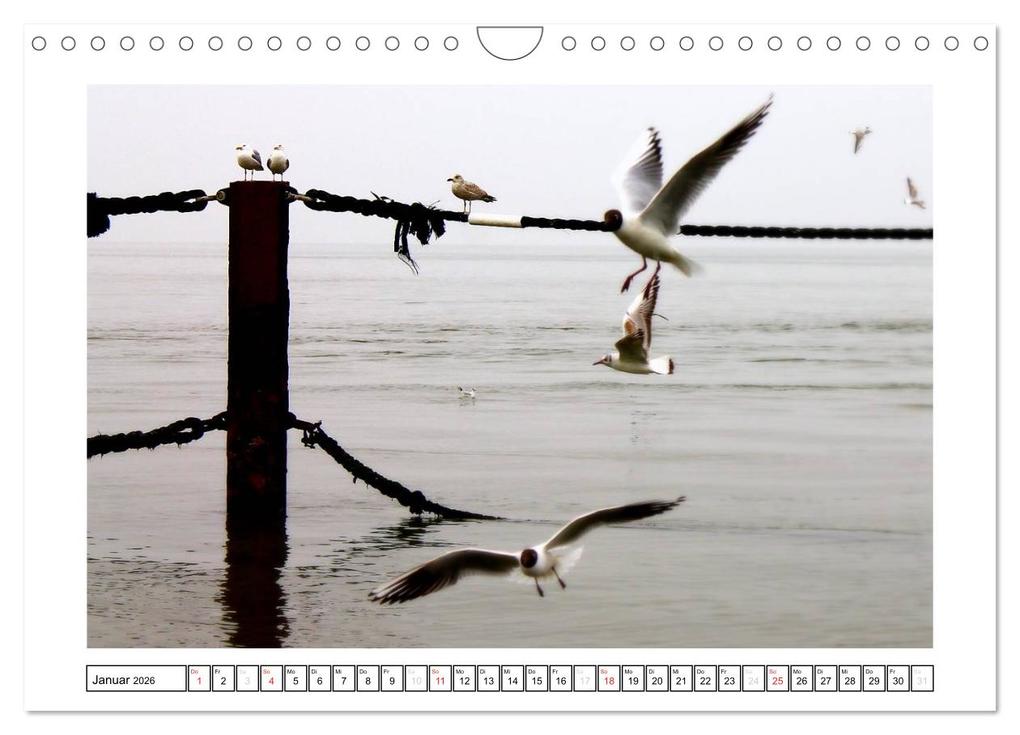Weitere Ansicht: Nordseefeeling - Cuxhaven (Wandkalender 2026 DIN A4 quer), CALVENDO Monatskalender | Ulrike Adam, Calvendo