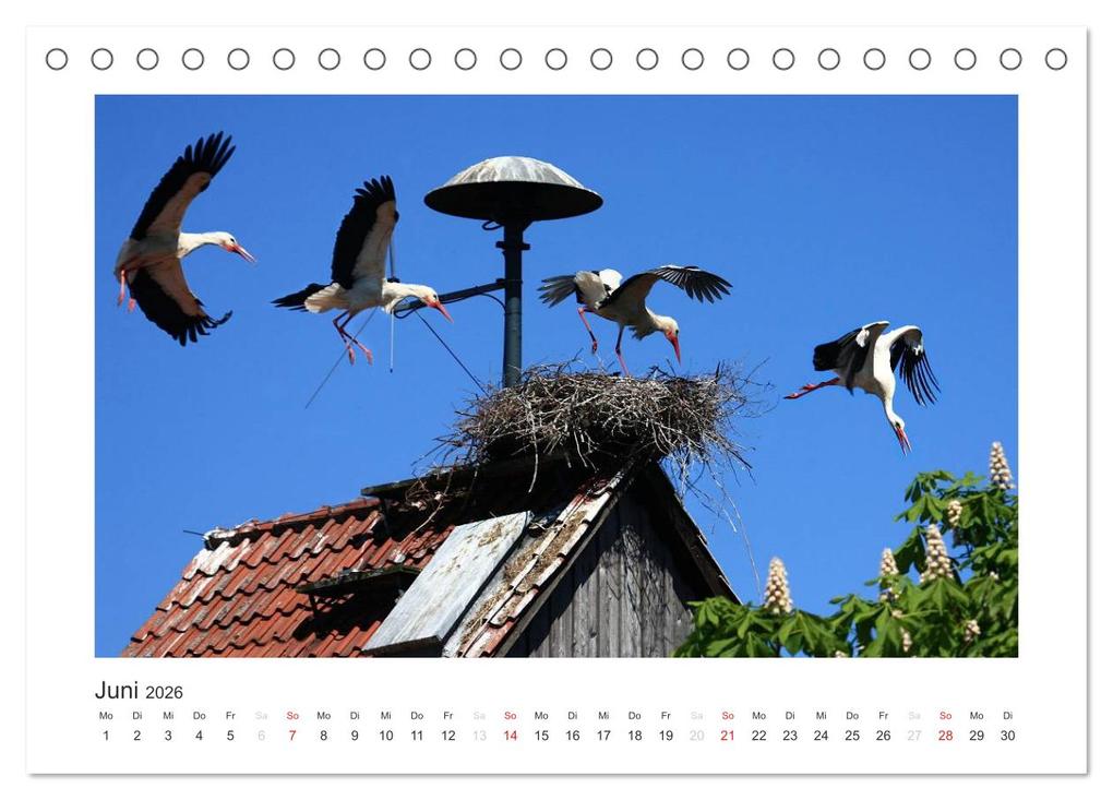 Weitere Ansicht: Das Weserbergland (Tischkalender 2026 DIN A5 quer), CALVENDO Monatskalender | Thomas Fietzek, Calvendo