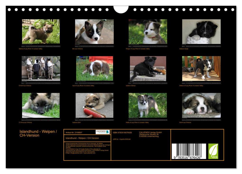 Weitere Ansicht: Islandhund - Welpen / CH-Version (Wandkalender 2026 DIN A4 quer), CALVENDO Monatskalender | JAMFoto - Angelika Möthrath, Calvendo, Angelika Möthrath