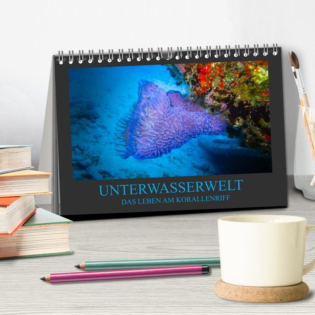 Weitere Ansicht: Unterwasserwelt - Das Leben am Korallenriff (Tischkalender 2026 DIN A5 quer), CALVENDO Monatskalender | Dirk Meutzner, Calvendo