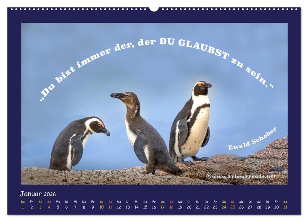 Weitere Ansicht: Bewusst leben und glücklich sein (Wandkalender 2026 DIN A2 quer), CALVENDO Monatskalender | Katja von www.LebenFreude.net, Calvendo