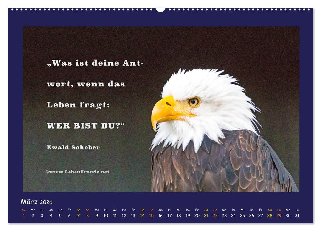 Weitere Ansicht: Bewusst leben und glücklich sein (Wandkalender 2026 DIN A2 quer), CALVENDO Monatskalender | Katja von www.LebenFreude.net, Calvendo