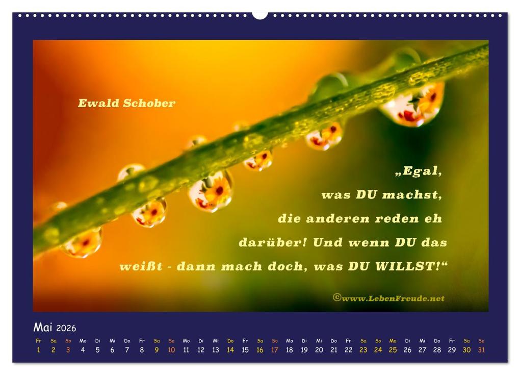 Weitere Ansicht: Bewusst leben und glücklich sein (Wandkalender 2026 DIN A2 quer), CALVENDO Monatskalender | Katja von www.LebenFreude.net, Calvendo