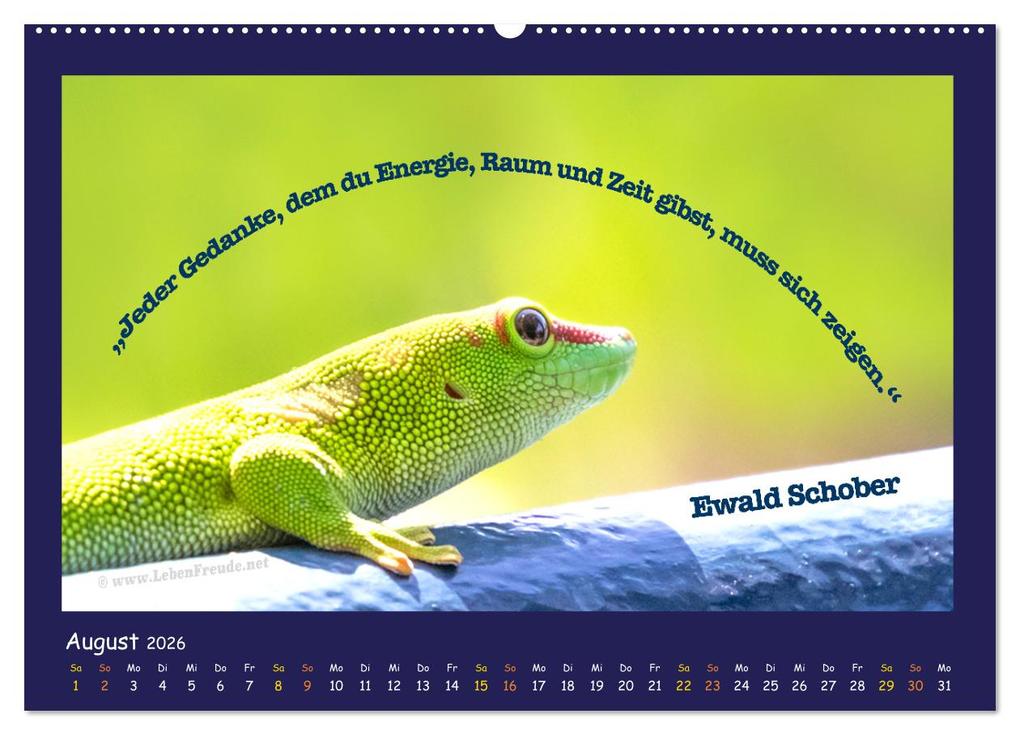 Weitere Ansicht: Bewusst leben und glücklich sein (Wandkalender 2026 DIN A2 quer), CALVENDO Monatskalender | Katja von www.LebenFreude.net, Calvendo