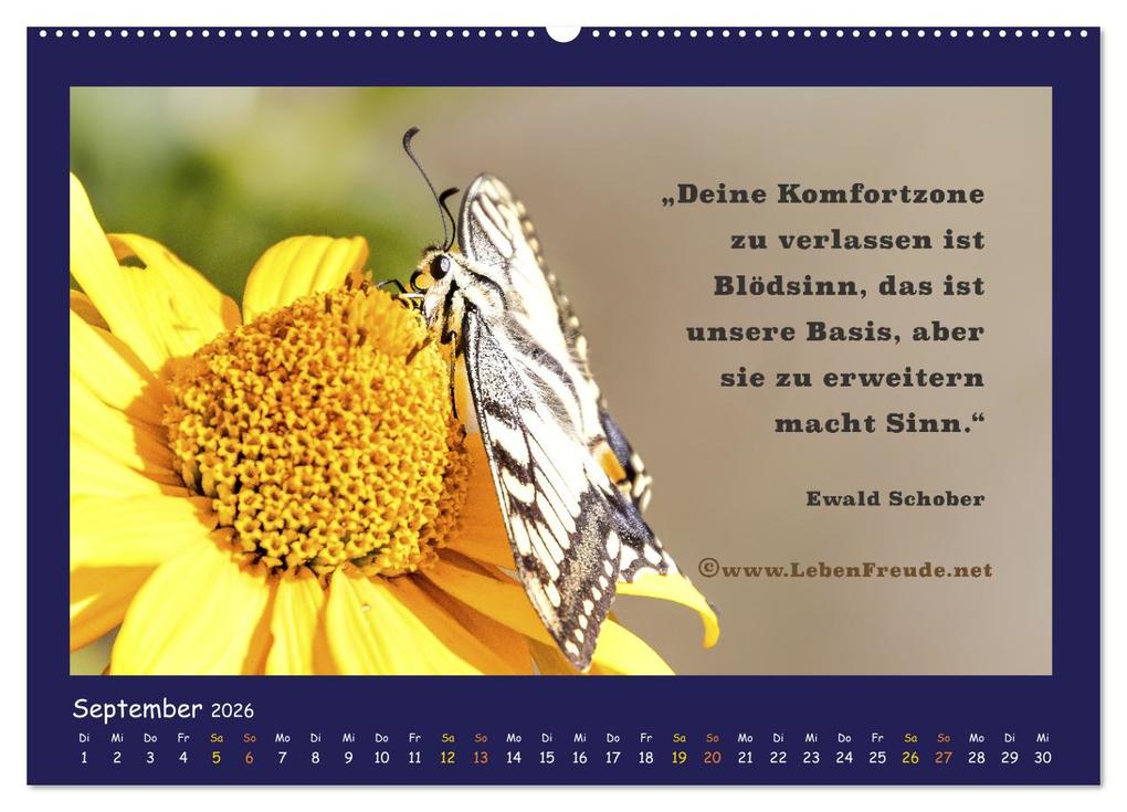 Weitere Ansicht: Bewusst leben und glücklich sein (Wandkalender 2026 DIN A2 quer), CALVENDO Monatskalender | Katja von www.LebenFreude.net, Calvendo