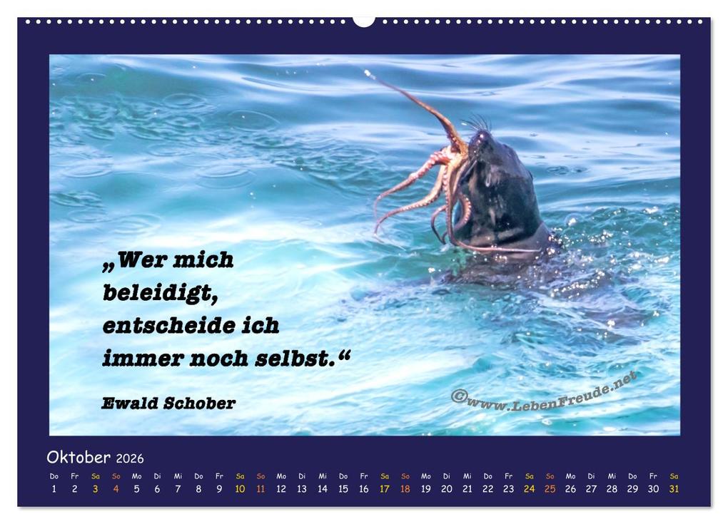 Weitere Ansicht: Bewusst leben und glücklich sein (Wandkalender 2026 DIN A2 quer), CALVENDO Monatskalender | Katja von www.LebenFreude.net, Calvendo