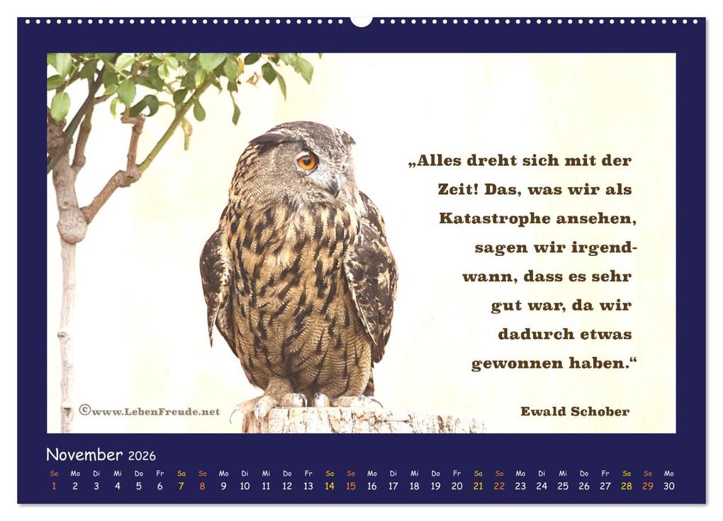 Weitere Ansicht: Bewusst leben und glücklich sein (Wandkalender 2026 DIN A2 quer), CALVENDO Monatskalender | Katja von www.LebenFreude.net, Calvendo