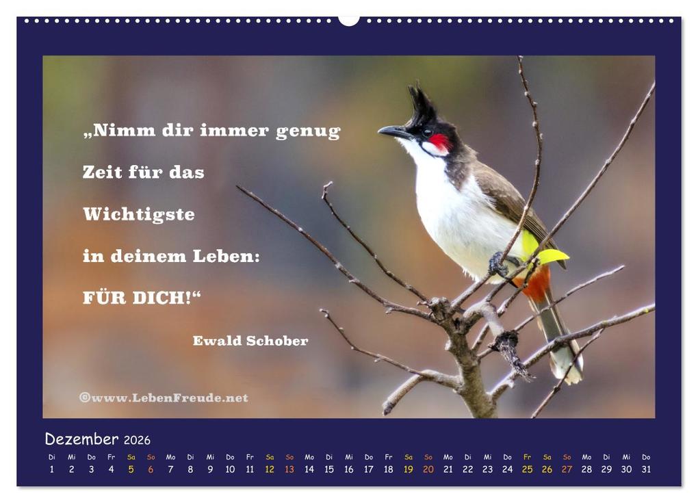 Weitere Ansicht: Bewusst leben und glücklich sein (Wandkalender 2026 DIN A2 quer), CALVENDO Monatskalender | Katja von www.LebenFreude.net, Calvendo