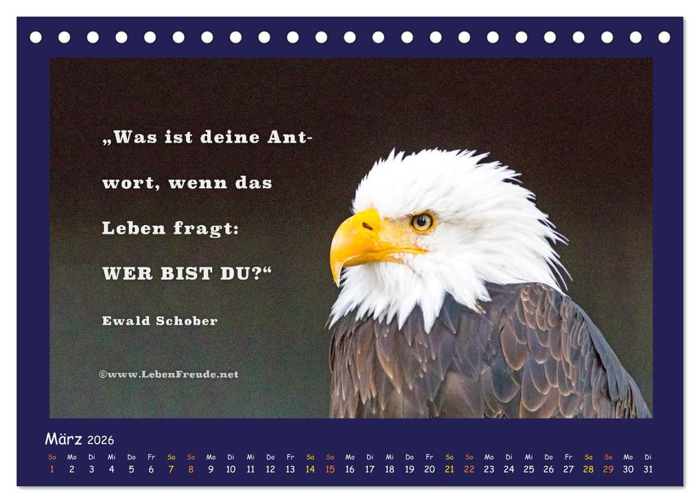 Weitere Ansicht: Bewusst leben und glücklich sein (Tischkalender 2026 DIN A5 quer), CALVENDO Monatskalender | Katja von www.LebenFreude.net, Calvendo