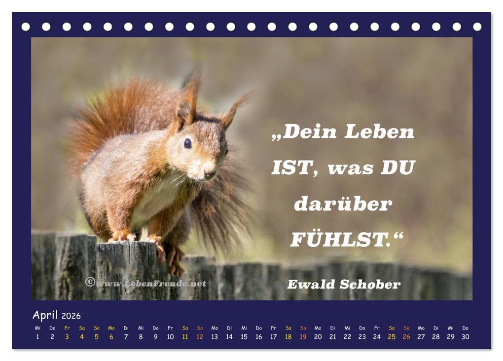 Weitere Ansicht: Bewusst leben und glücklich sein (Tischkalender 2026 DIN A5 quer), CALVENDO Monatskalender | Katja von www.LebenFreude.net, Calvendo