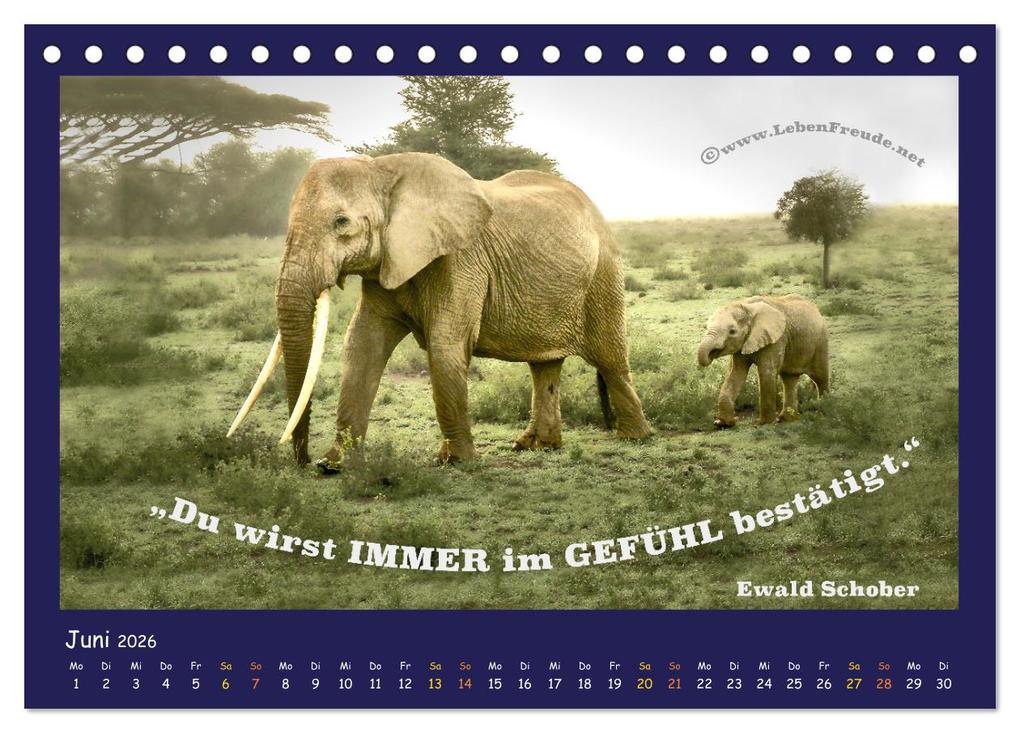 Weitere Ansicht: Bewusst leben und glücklich sein (Tischkalender 2026 DIN A5 quer), CALVENDO Monatskalender | Katja von www.LebenFreude.net, Calvendo