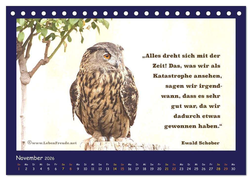 Weitere Ansicht: Bewusst leben und glücklich sein (Tischkalender 2026 DIN A5 quer), CALVENDO Monatskalender | Katja von www.LebenFreude.net, Calvendo