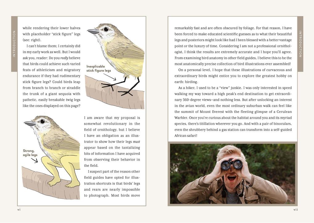 Weitere Ansicht: Extremely Accurate Birds | Tommy Siegel