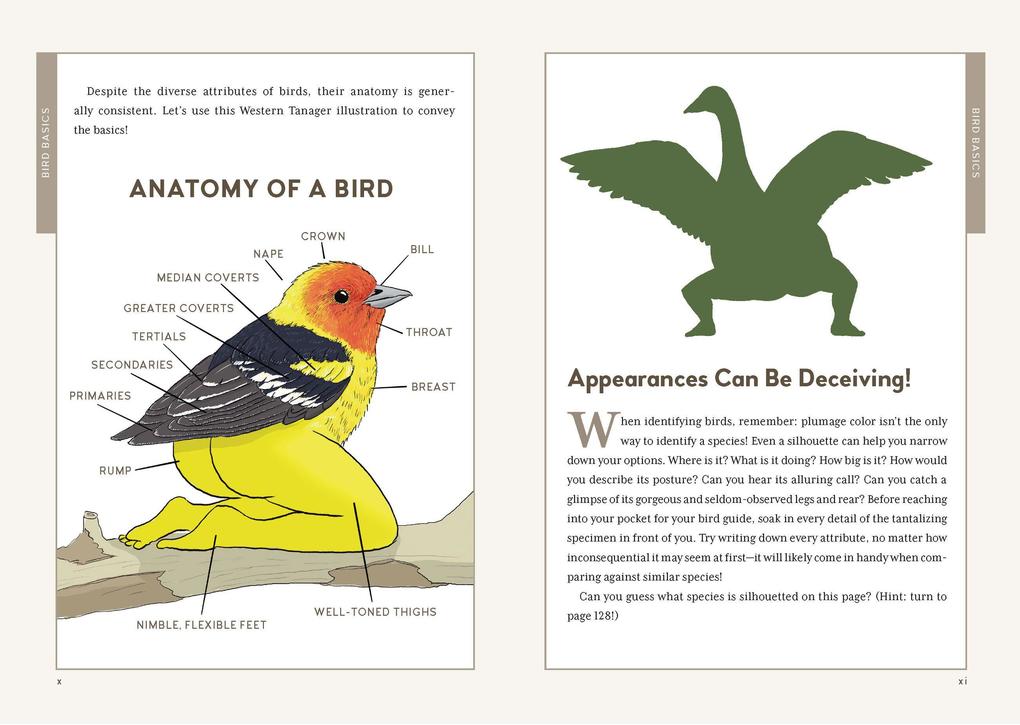 Weitere Ansicht: Extremely Accurate Birds | Tommy Siegel