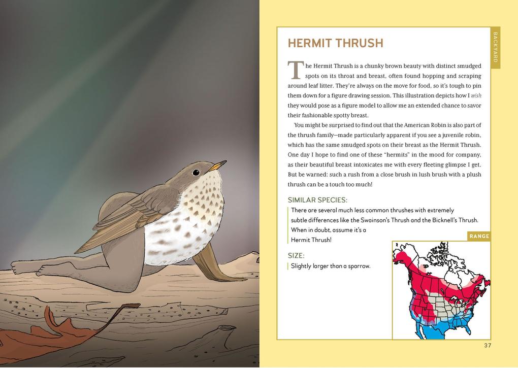 Weitere Ansicht: Extremely Accurate Birds | Tommy Siegel