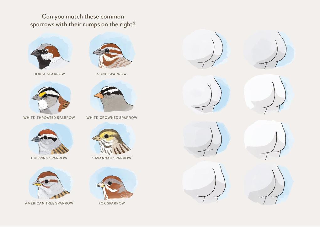 Weitere Ansicht: Extremely Accurate Birds | Tommy Siegel