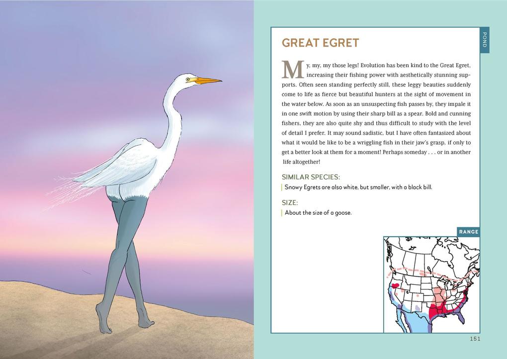 Weitere Ansicht: Extremely Accurate Birds | Tommy Siegel