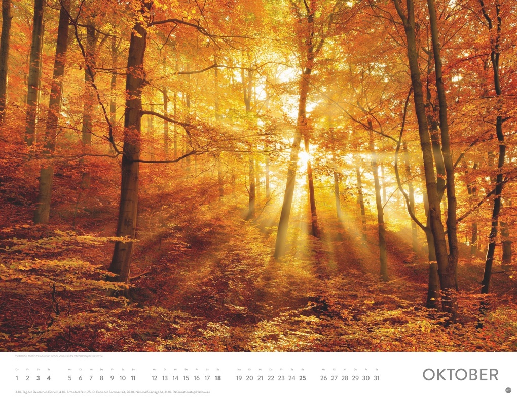 Weitere Ansicht: Sonnenzauber Posterkalender 2026