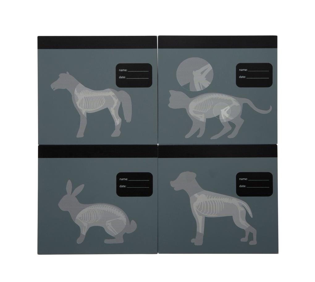 Weitere Ansicht: Tierarzt-Tasche mit Hase