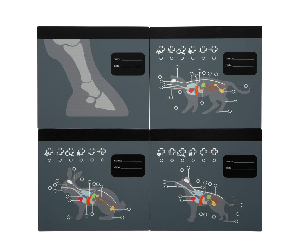 Weitere Ansicht: Tierarzt-Tasche mit Hase