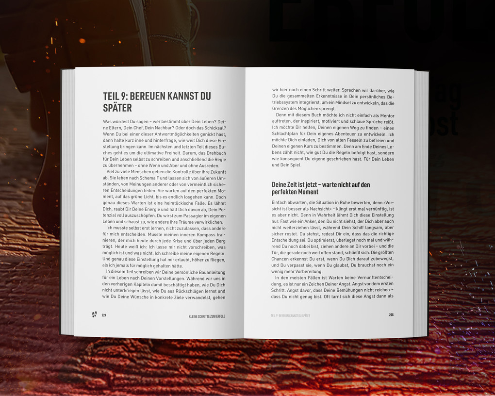 Weitere Ansicht: Kleine Schritte zum Erfolg | Daniel Fellhauer