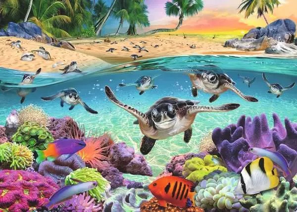 Weitere Ansicht: Erwachsenenpuzzle 500 Large Pieces - Meeresschildkröten