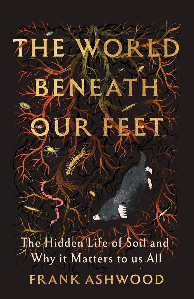Produktbild: The World Beneath Our Feet | Frank Ashwood
