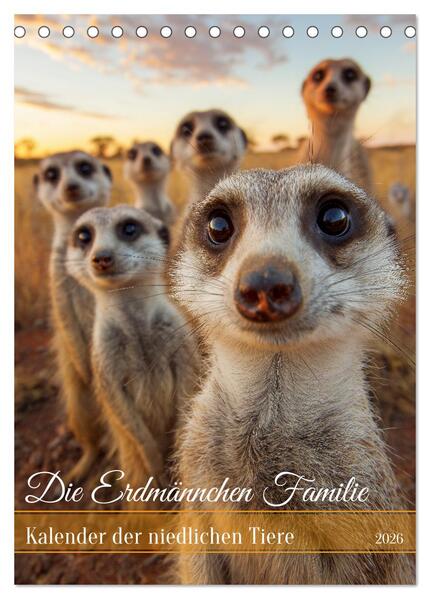 Produktbild: Die Erdmännchen Familie - Kalender der niedlichen Tiere (Tischkalender 2026 DIN A5 hoch), CALVENDO Monatskalender | MB Fotografie, Calvendo