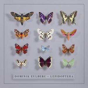 Produktbild: Lepidoptera | Dominik Eulberg