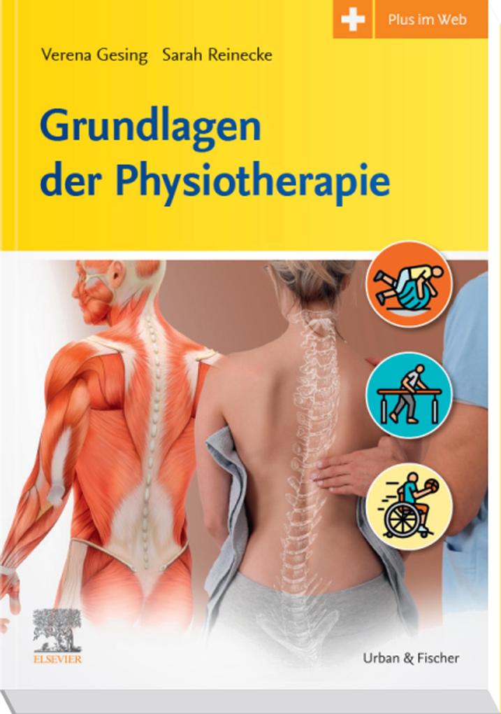 Produktbild: Grundlagen der Physiotherapie | Verena Gesing, Sarah Reinecke