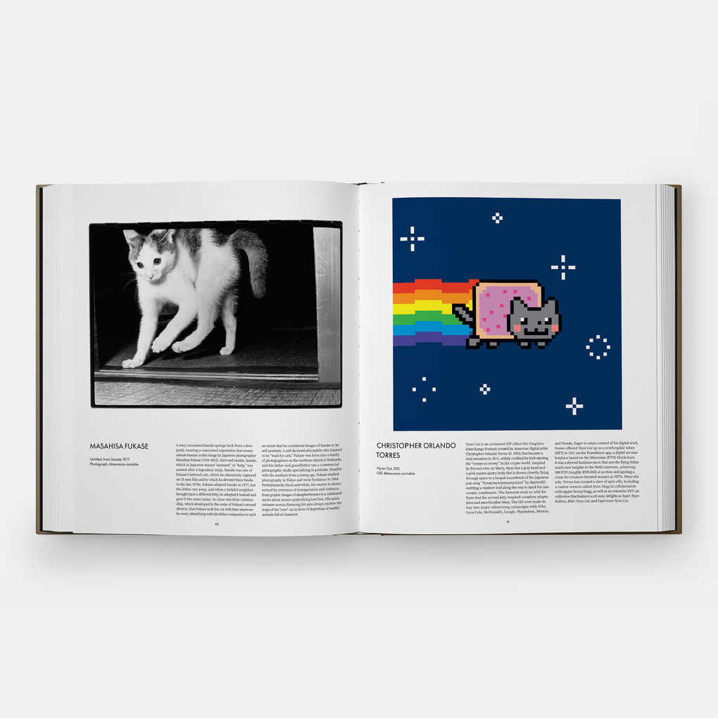 Weitere Ansicht: Cat | Leïla Jarbouai