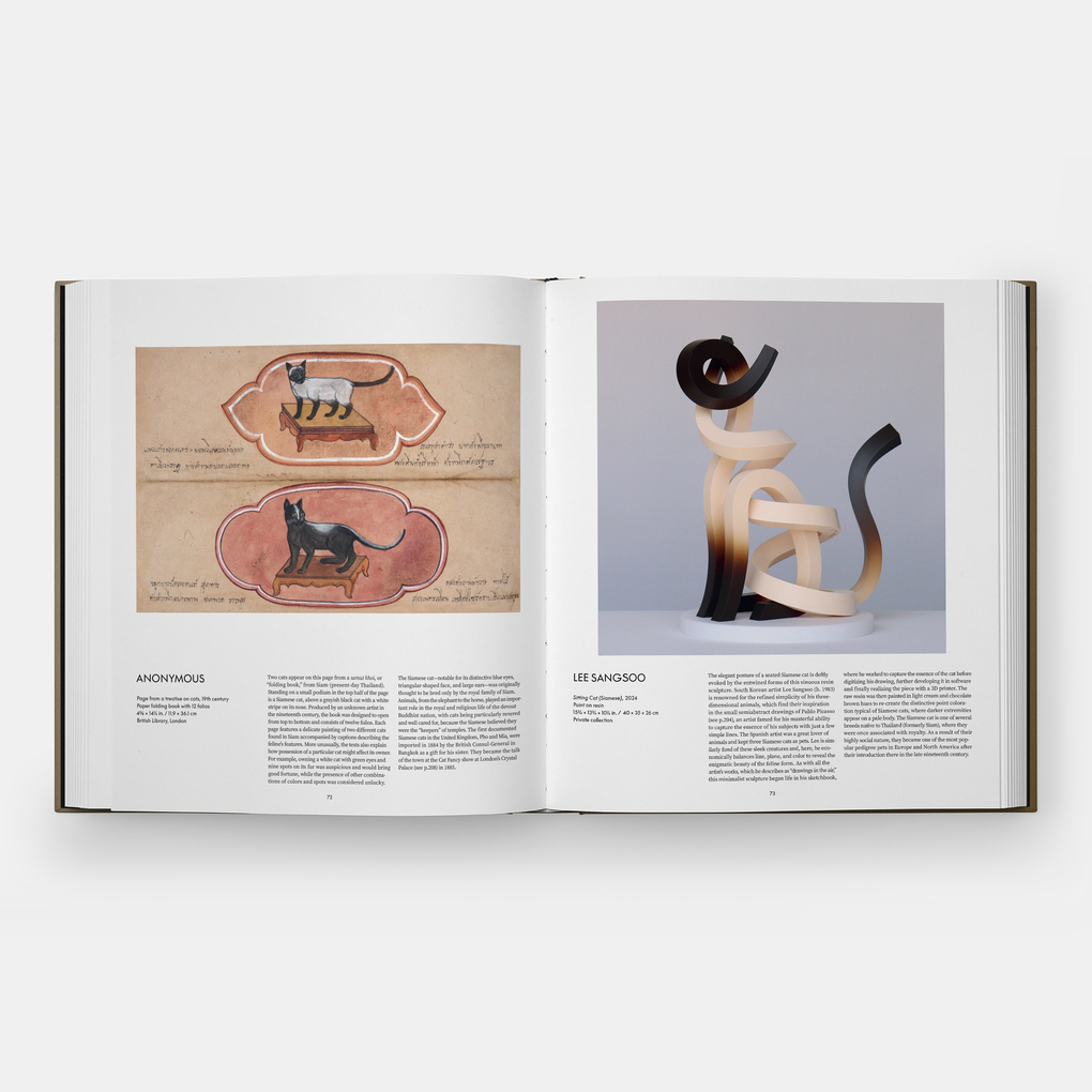 Weitere Ansicht: Cat | Leïla Jarbouai