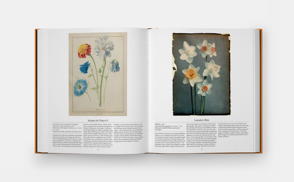 Weitere Ansicht: Flower: Exploring the World in Bloom