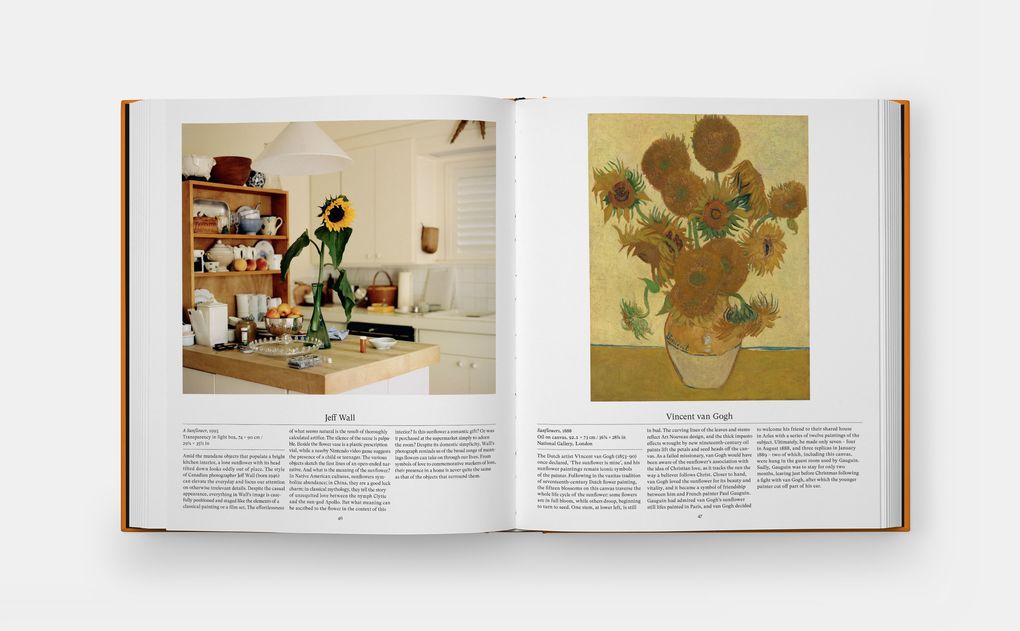 Weitere Ansicht: Flower: Exploring the World in Bloom