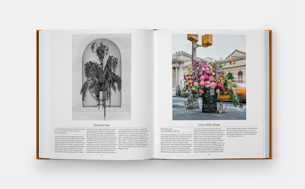 Weitere Ansicht: Flower: Exploring the World in Bloom