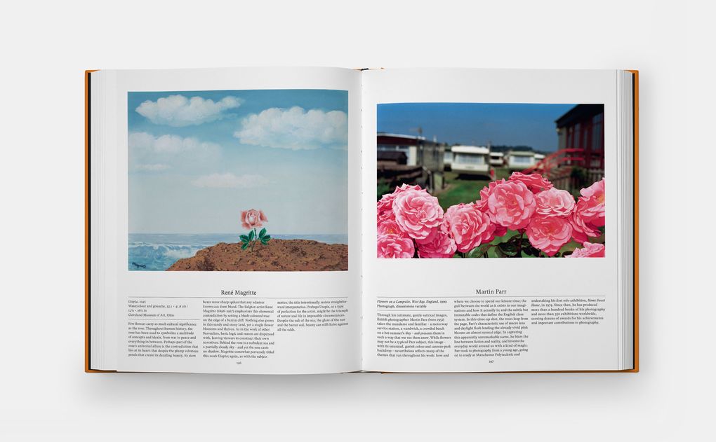 Weitere Ansicht: Flower: Exploring the World in Bloom