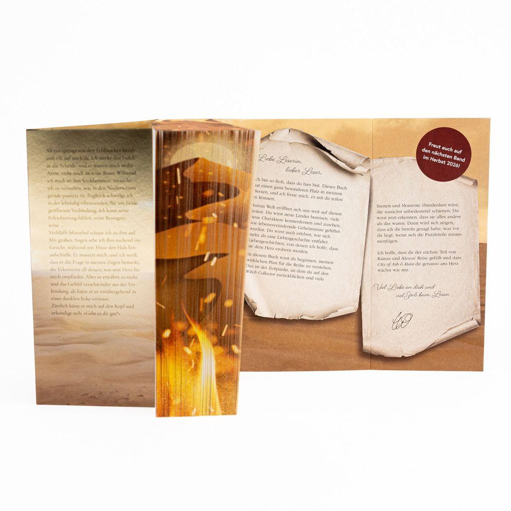 Weitere Ansicht: City of Ash and Ruin | Charissa Weaks